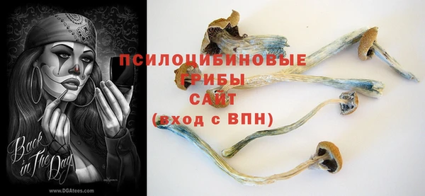 тгк Аша