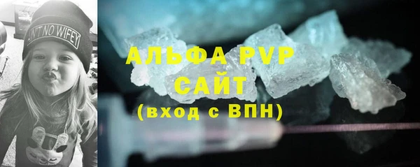 PSILOCYBIN Абаза