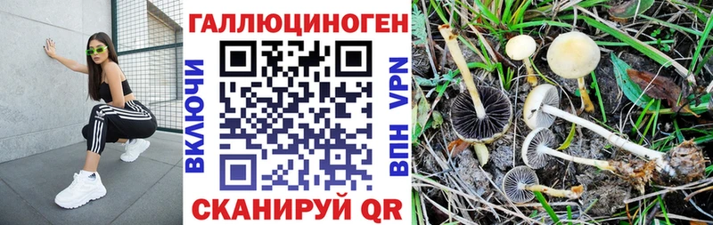кракен tor  Минусинск  Галлюциногенные грибы MAGIC MUSHROOMS 